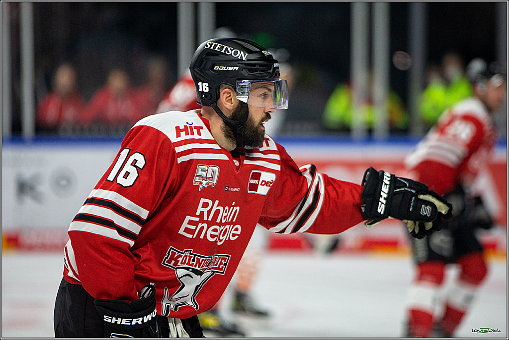 PENNY DEL; Koelner Haie- Grizzly Wolfsburg; Koeln, 26.10.2022